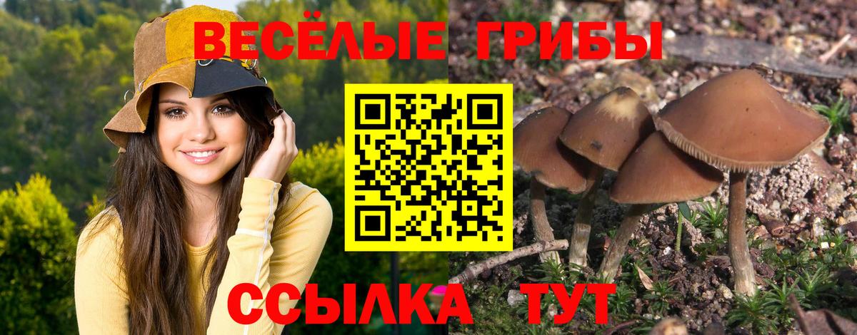 Псилоцибиновые грибы мухоморы Нефтеюганск